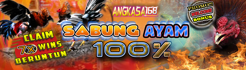 PROMO 100% SABUNG AYAM
